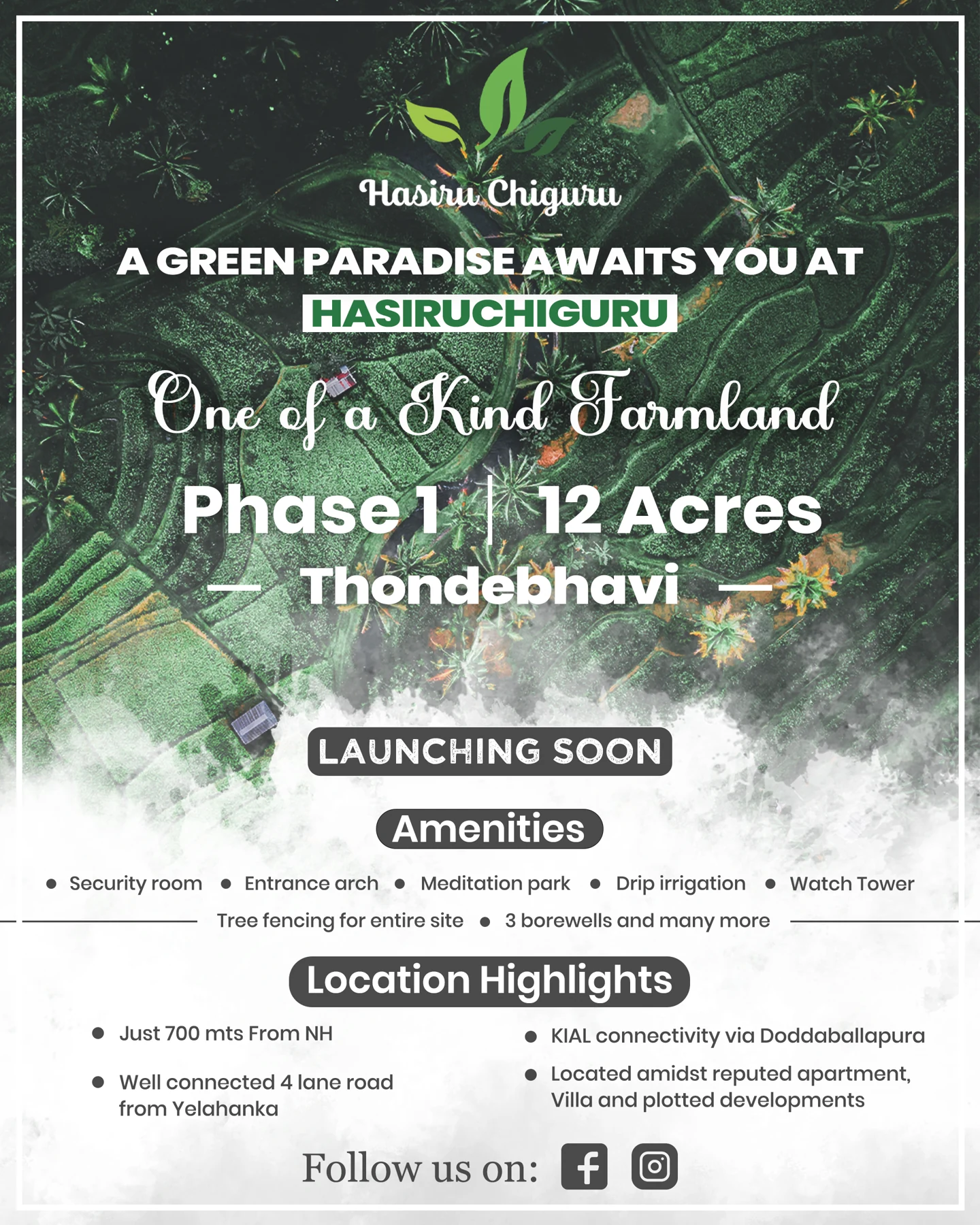 Hasiru Chiguru farmland launch creative